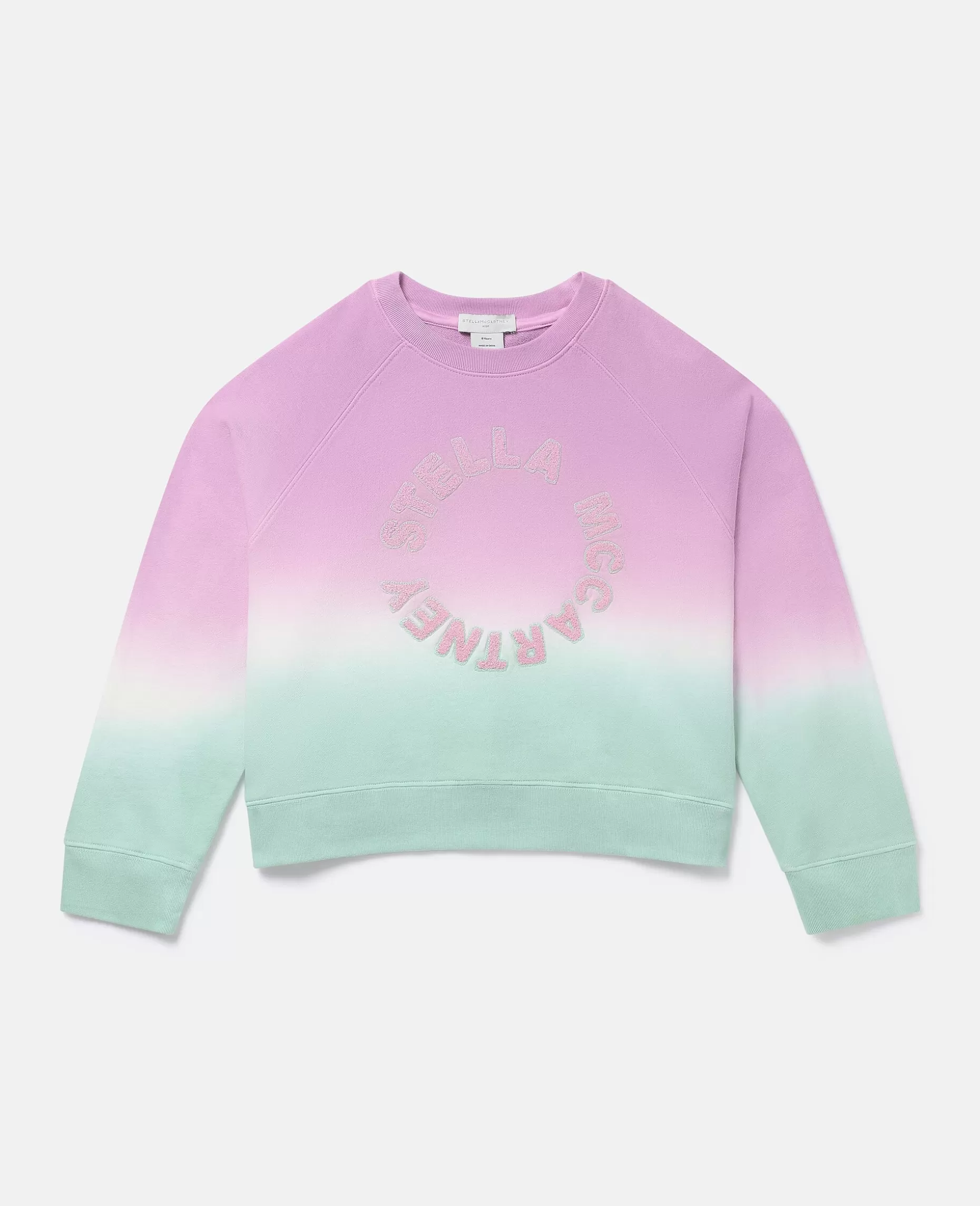 Logo Ombre Sweatshirt^Stella McCartney Cheap