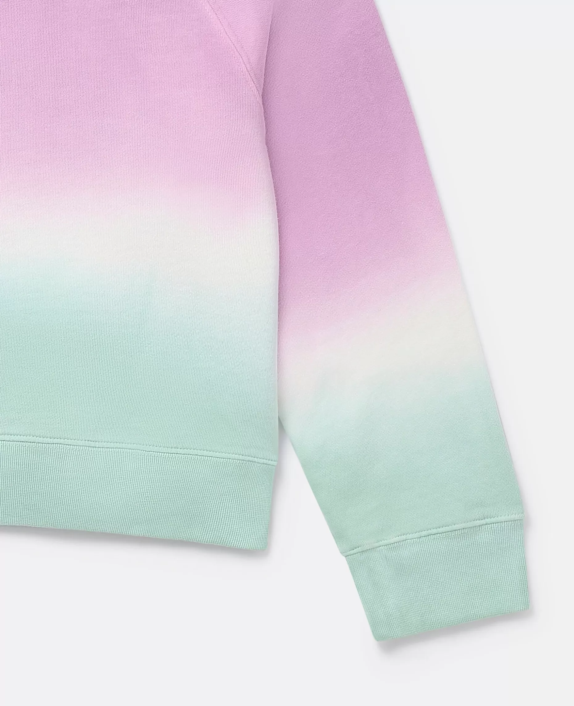 Logo Ombre Sweatshirt^Stella McCartney Cheap
